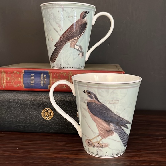 Aynsley Ornithological Studies Fine Bone China Mug - Picture 2 of 6